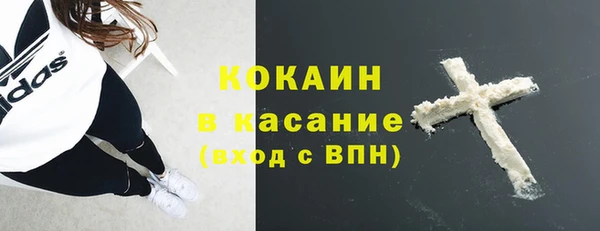 ГАЛЛЮЦИНОГЕННЫЕ ГРИБЫ Баксан