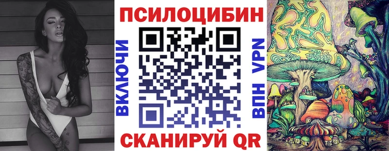дарк нет официальный сайт  OMG ССЫЛКА  Рыбное  Галлюциногенные грибы Cubensis 